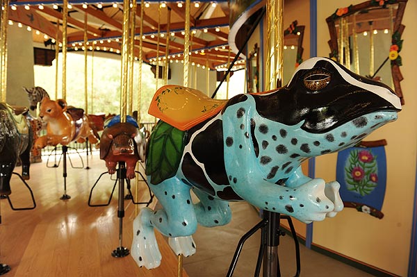 Eight Wild Rides